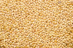 Graines de lin doré BIO | les 100g