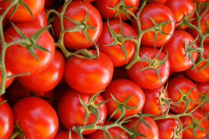 Tomate Grappe BIO | Cat.II | les 500g
